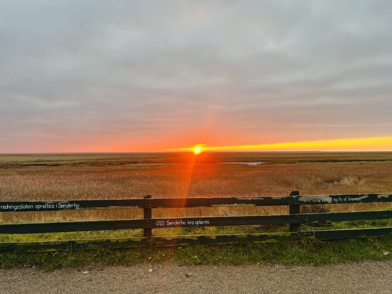 IMG_2105-scaled-Foto Vadehavskysten