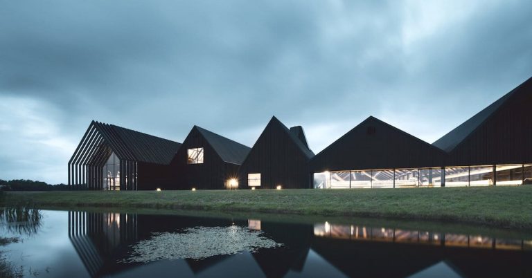 Stauning_Whisky_88b65e1c-6e92-4418-8a63-21c8cae75dde_1200x1200