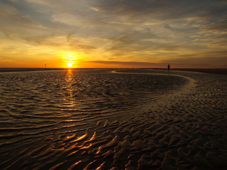 Vadehavet_Fanø_14082010_001_479bcc4f0e