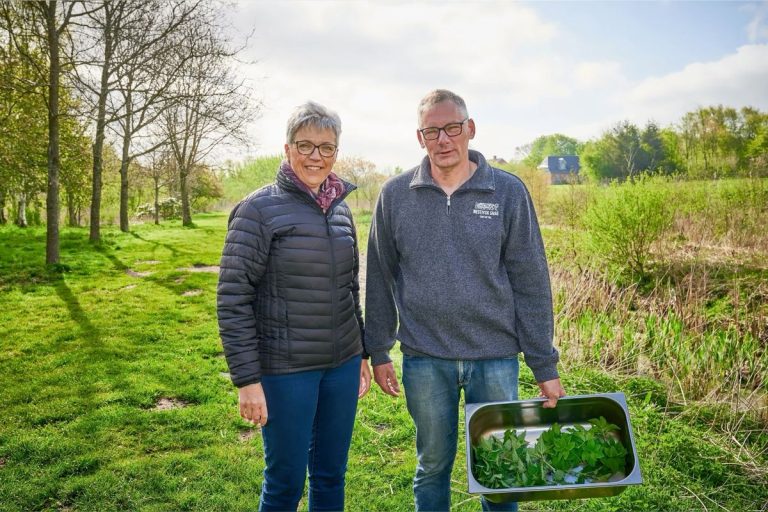 b68b303bad8d5c64b9d4e6fffdead184