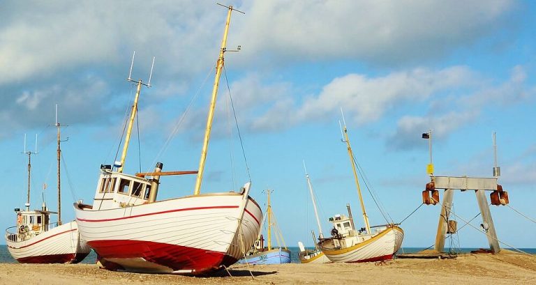 csm_P-nord-02_31376b6db4 (1)