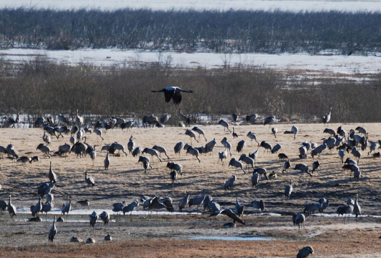 csm_tranedans__FILEminimizer__0ecc7078b6